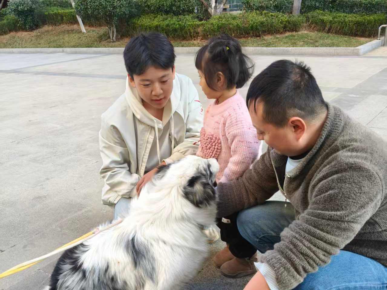 请输入图片描述 请输入图片描述